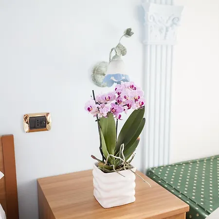 Bed & Breakfast Oasi
